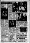 Lanark & Carluke Advertiser Friday 09 April 1993 Page 29