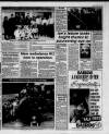 Lanark & Carluke Advertiser Friday 07 May 1993 Page 29