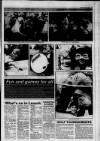 Lanark & Carluke Advertiser Friday 18 June 1993 Page 13