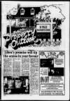 Lanark & Carluke Advertiser Friday 15 October 1993 Page 33