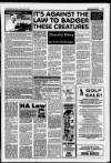 Lanark & Carluke Advertiser Friday 29 October 1993 Page 37