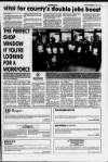 Lanark & Carluke Advertiser Friday 26 November 1993 Page 41