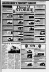 Lanark & Carluke Advertiser Friday 22 April 1994 Page 45