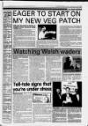 Lanark & Carluke Advertiser Wednesday 08 November 1995 Page 41