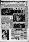 Cornishman Thursday 01 February 1990 Page 3