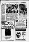 Cornishman Thursday 29 November 1990 Page 41