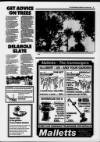 Cornishman Thursday 13 June 1991 Page 37