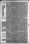 Leicester Advertiser Saturday 14 July 1877 Page 3