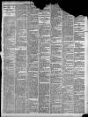 Leicester Advertiser Saturday 20 March 1897 Page 11