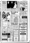 Lincolnshire Free Press Tuesday 11 March 1980 Page 17