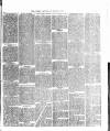 Bedworth Times Saturday 26 June 1875 Page 3