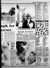 Western Daily Press Monday 06 August 1984 Page 13