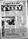 Western Daily Press Monday 22 October 1984 Page 3