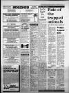 Western Daily Press Saturday 03 November 1984 Page 31