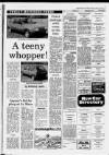 Western Daily Press Friday 12 June 1987 Page 21