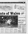 Western Daily Press Thursday 06 September 1990 Page 17