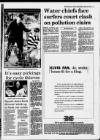 Western Daily Press Wednesday 20 April 1994 Page 19