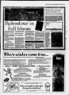 Western Daily Press Wednesday 01 June 1994 Page 11