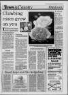 Western Daily Press Saturday 02 July 1994 Page 41