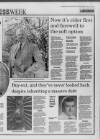 Western Daily Press Monday 11 July 1994 Page 41