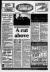 Bedfordshire on Sunday Sunday 21 March 1993 Page 1