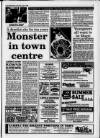 Bedfordshire on Sunday Sunday 11 July 1993 Page 3