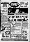 Bedfordshire on Sunday Sunday 25 July 1993 Page 1