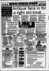 Bedfordshire on Sunday Sunday 01 August 1993 Page 16