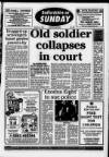 Bedfordshire on Sunday Sunday 15 August 1993 Page 1