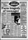 Bedfordshire on Sunday Sunday 22 August 1993 Page 1