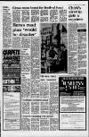 Liverpool Daily Post (Welsh Edition) Wednesday 18 January 1978 Page 17