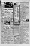 Liverpool Daily Post (Welsh Edition) Tuesday 04 July 1978 Page 13