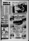 Gloucester Citizen Thursday 12 September 1991 Page 45