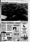 Gloucester Citizen Friday 11 November 1994 Page 43