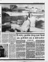 Liverpool Daily Post Wednesday 01 July 1981 Page 17