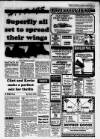 Chatham Standard Tuesday 04 January 1994 Page 17