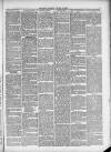 Salford City Reporter Saturday 12 January 1889 Page 3