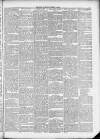 Salford City Reporter Saturday 02 March 1889 Page 3