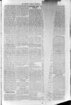 Sidmouth Observer Wednesday 31 October 1888 Page 5