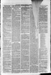 Sidmouth Observer Wednesday 31 October 1888 Page 7