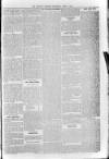 Sidmouth Observer Wednesday 08 April 1891 Page 5