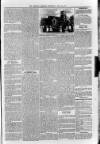 Sidmouth Observer Wednesday 29 April 1891 Page 5