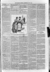 Sidmouth Observer Wednesday 03 June 1891 Page 3