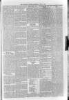 Sidmouth Observer Wednesday 03 June 1891 Page 5