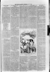 Sidmouth Observer Wednesday 03 June 1891 Page 7