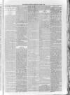 Sidmouth Observer Wednesday 01 March 1893 Page 3