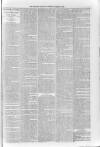 Sidmouth Observer Wednesday 08 March 1893 Page 3