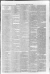 Sidmouth Observer Wednesday 26 July 1893 Page 3