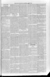 Sidmouth Observer Wednesday 27 June 1894 Page 7