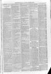Sidmouth Observer Wednesday 21 November 1894 Page 3